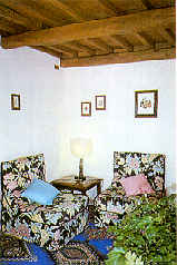rondine-w.jpg (9056 Byte)